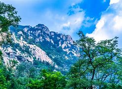  山东泰山最新消息今天 