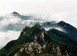  山东泰山最新消息今天 